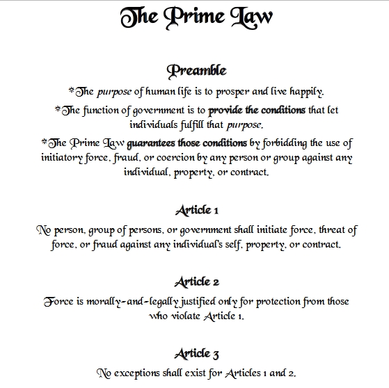the28thamendment.org
